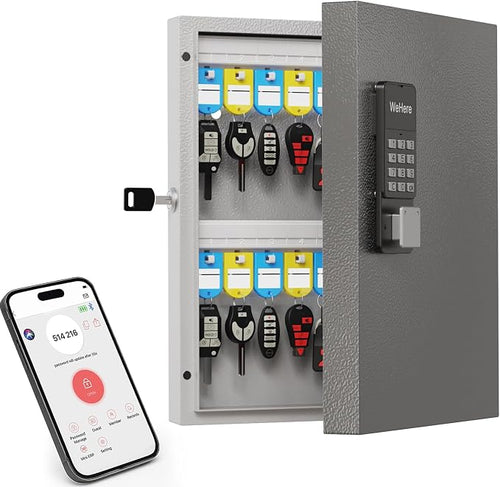 32 Key Lock Box Wall Mount, Smart Key Cabinet One Time Password/APP by DiDiHere