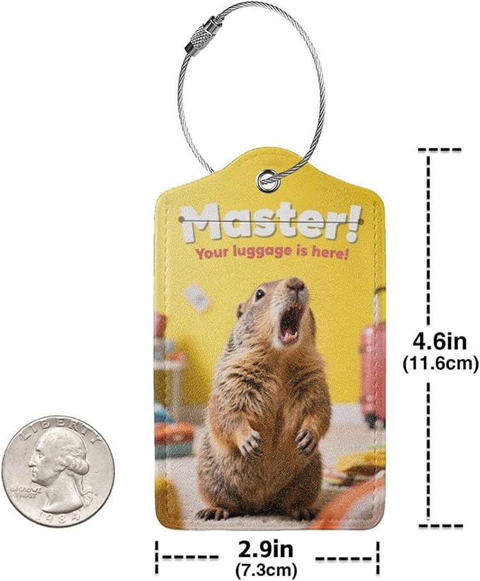 Fun Luggage Tags for Suitcases Leather Name Tag for Luggage Cute Travel Baggage - Image 2