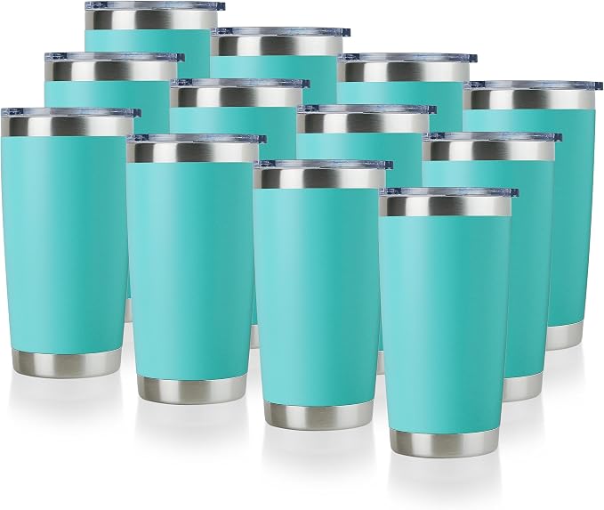 DOMICARE 20oz Stainless Steel Tumbler Bulk by VisittheDOMICARE