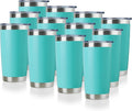 DOMICARE 20oz Stainless Steel Tumbler Bulk by VisittheDOMICARE