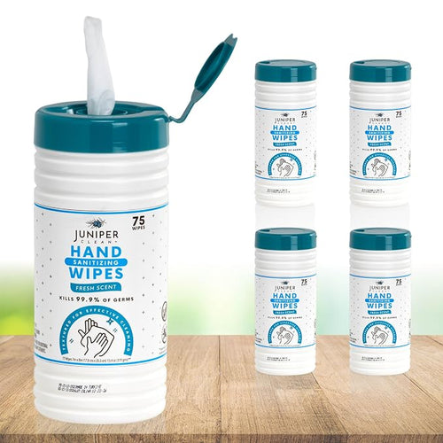 4 Pack Hand Sanitizing Wipes, Alcohol Free 300 Count Canister Disposable Hand by JuniperCLEAN